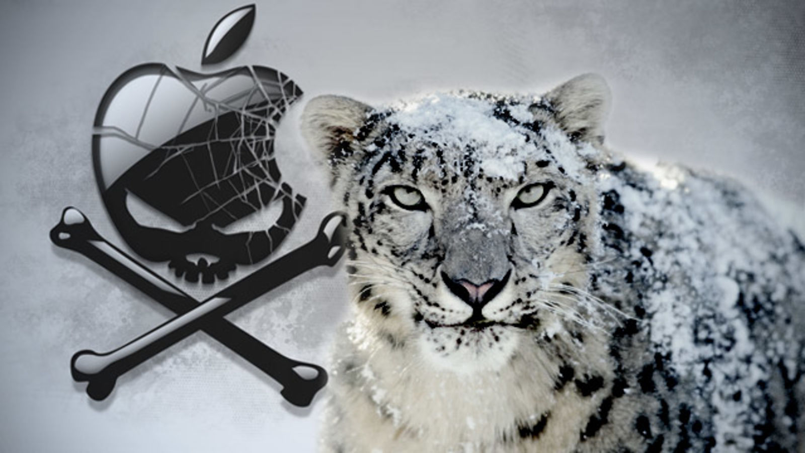 Free Clening Tool For Mac With Snow Leopard